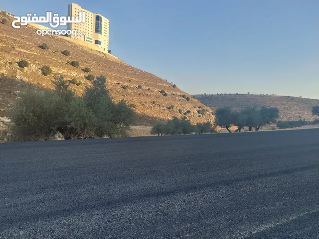 دونم في الريحان طابو رام الله