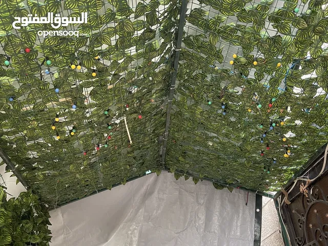 مظله حديد مع اوراق شجر و شادر كبير