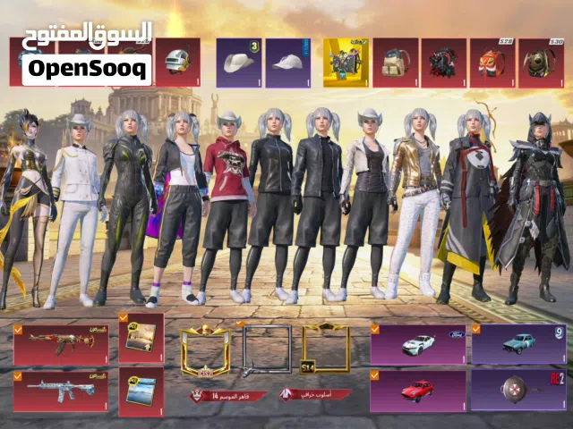 Pubg Accounts and Characters for Sale in Northern Governorate