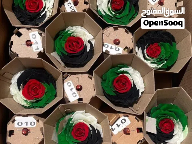 مشروع الورد المحفوظ للبيع Infinity Flower Project for sale