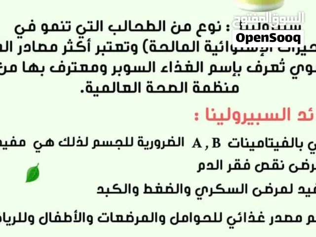 عمل حر من المنزل والجوال لايحتاج شهاده ولا خبره ولا رأس مال كبير يحتاج عزيمه واصرار