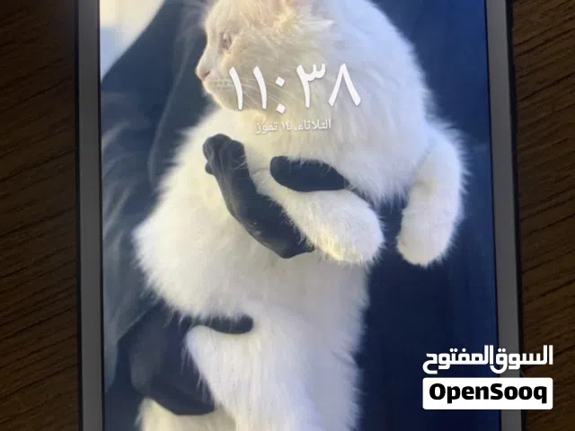 Samsung Galaxy Tab 8  Other in Zarqa