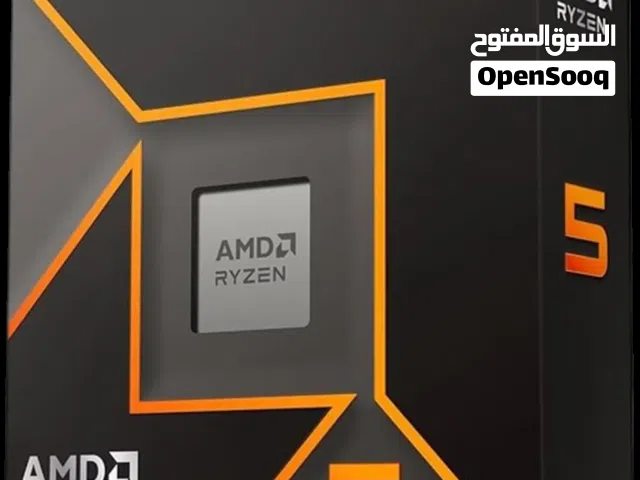 AMD RYZEN 5 9600X