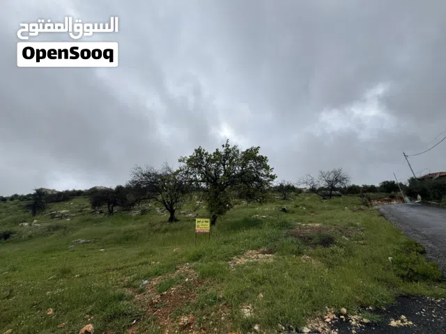 Residential Land for Sale in Amman Abu Al-Nair