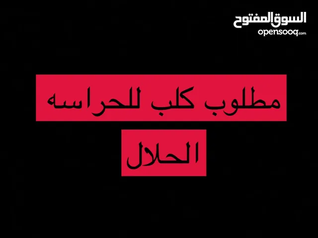 مطلوب جلب للحراسه