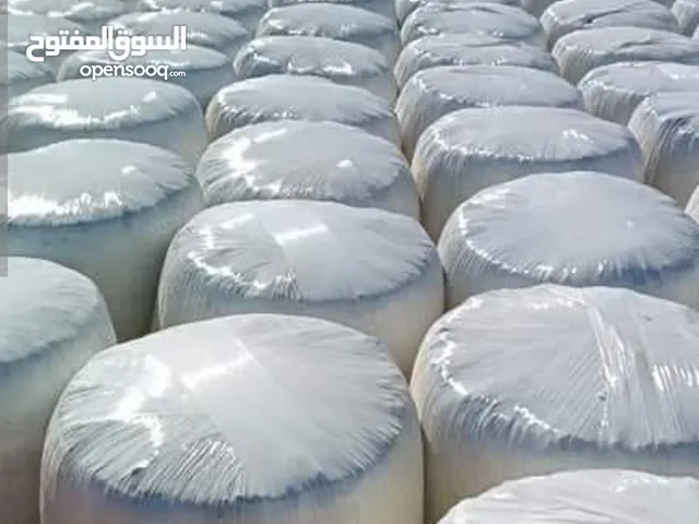 سيلاج (اعلاف مواشي)