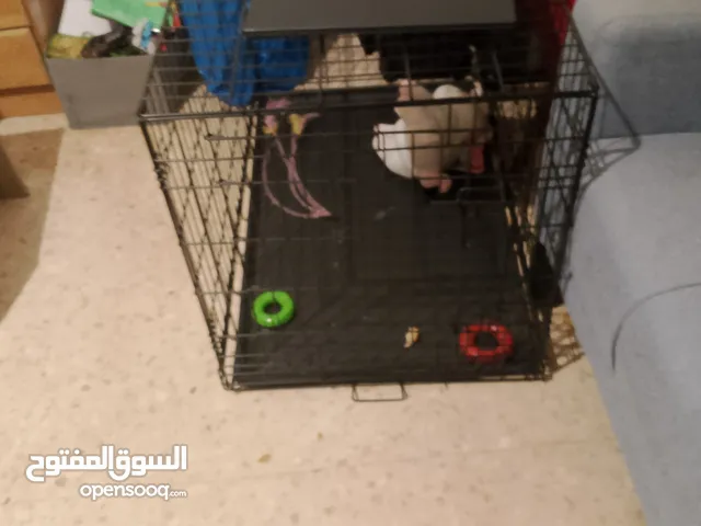 للبيع للبيع للبيع