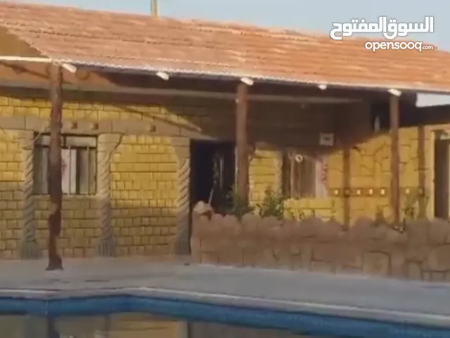 فيلةومسبح وعروال مسرورين بخدمات وسعر مخفض