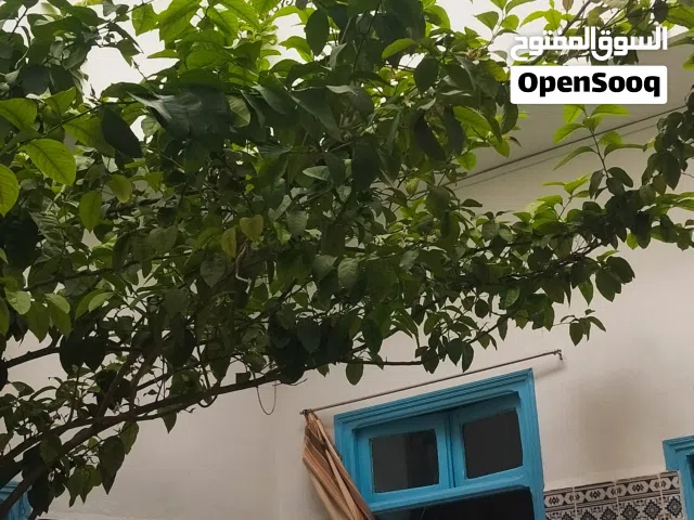 125 m2 5 Bedrooms Townhouse for Sale in Tunis Other