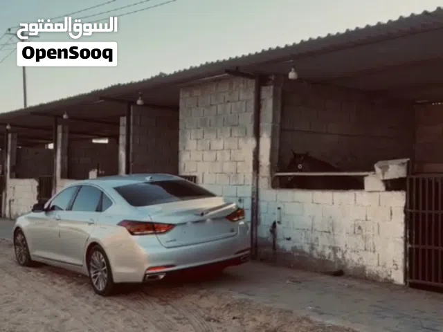 2016 جينيسيس G80