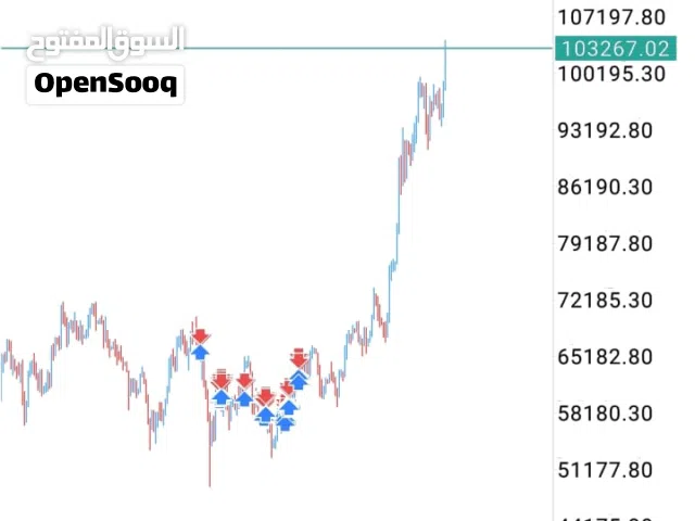 نحقق ربح يومي لا يقل عن 10000 الف درهم
