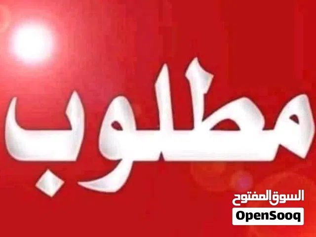 مطلوب لوحة ايفون 11 العادي