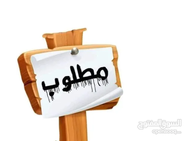 مطلوب شقة لنفرين أجانب  فقط