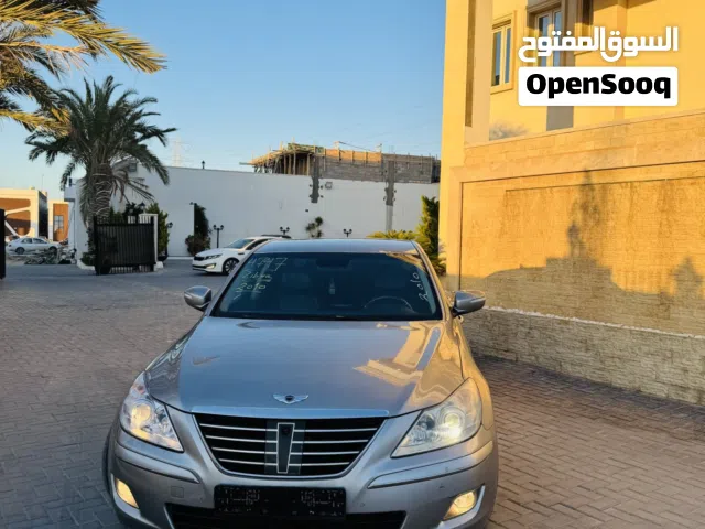 2010 Genesis Other