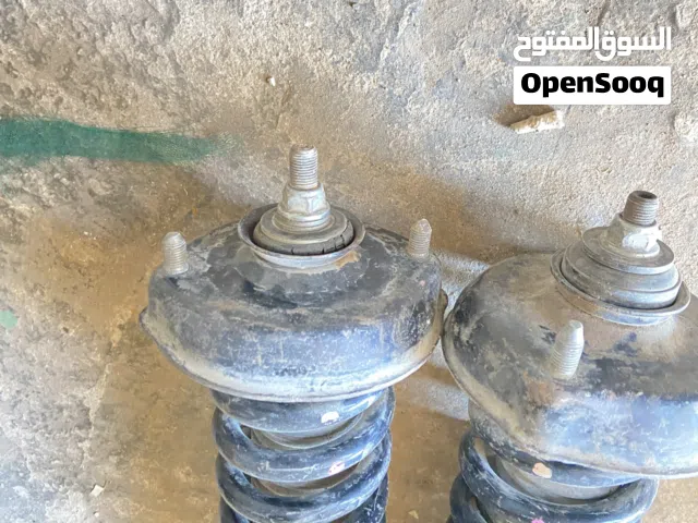 جوز صنوبر صات جستبل خلفي ياباني أصلي