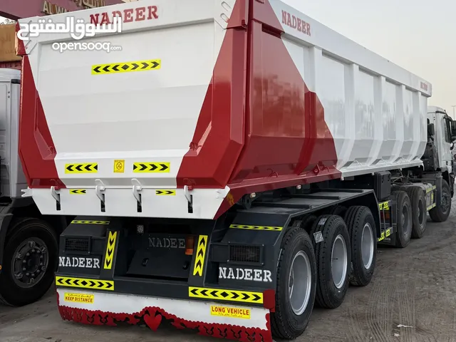3xl body 2025 model