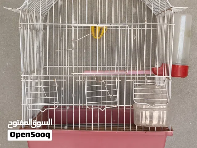 قفص نظيف للبيع