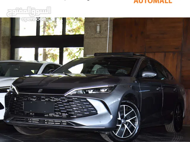 2024, بي واي دي, كين