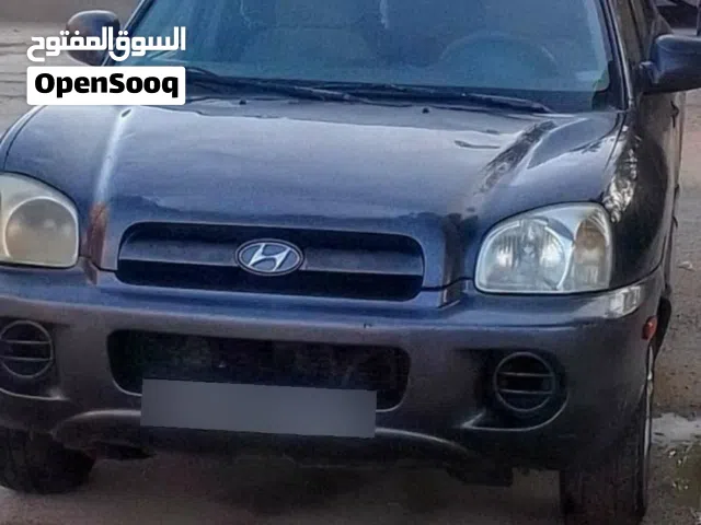2006 هيونداي سنتافي Blue