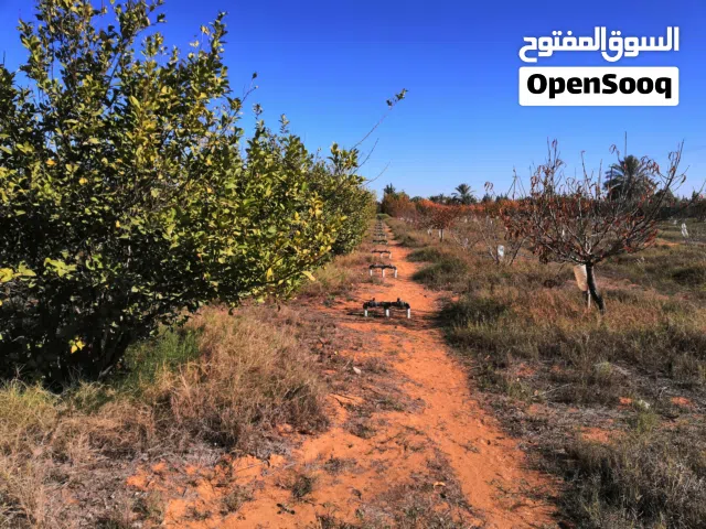 3 Bedrooms Farms for Sale in Tripoli Qasr Bin Ghashir