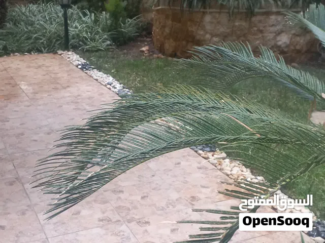 apartment for sale beyt mrj. brand new. 175 m with 200 m garden