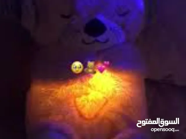 الدب المتنفس