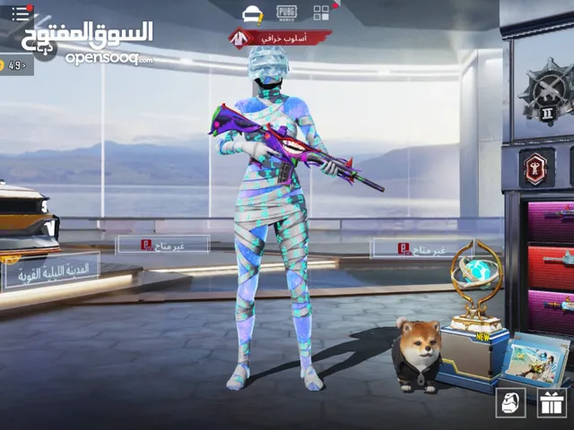 Pubg Accounts and Characters for Sale in Al Karak