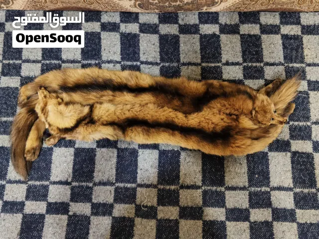 جلد نمس طبيعي