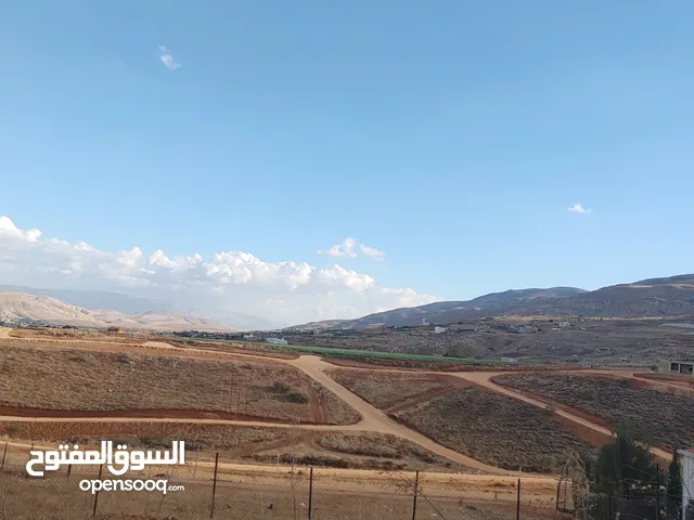محمد ابو صهيب