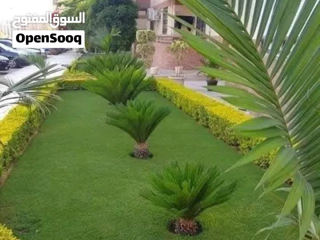 افضل انواع النجيله الطبيعيه لجميع الحدائق والفيلا بافضل الاسعار