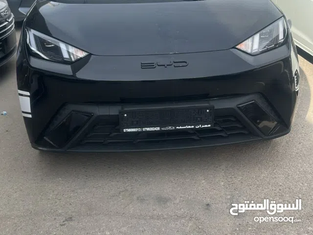 Used BYD Seagull in Amman