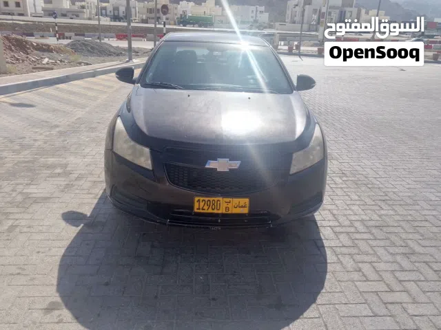 شفر كروز 2015