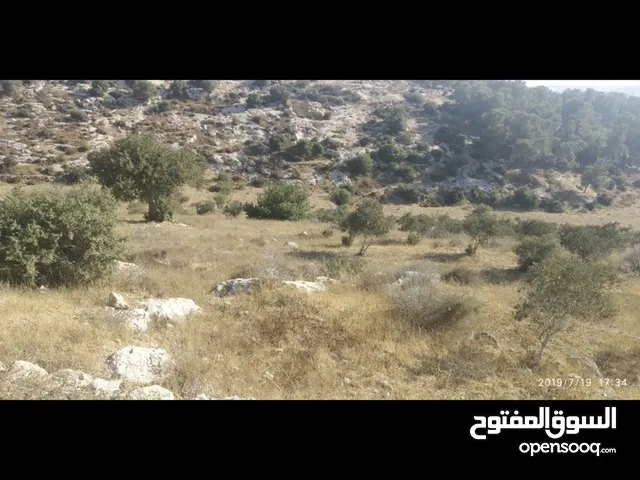 Mixed Use Land for Sale in Hebron Dura
