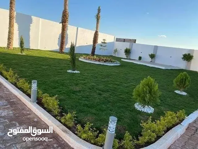 تنسيق حدائق وزراعة أشجار الزينة والأشجار المثمرة