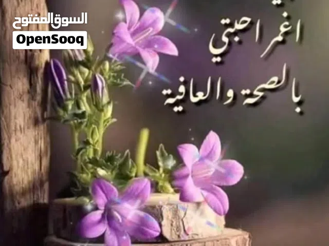 لمن يبحث عن التميز ف التعليم