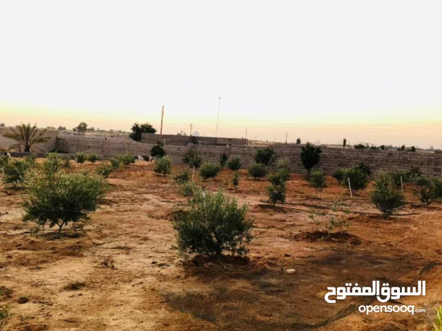 2500 متر واجهتين