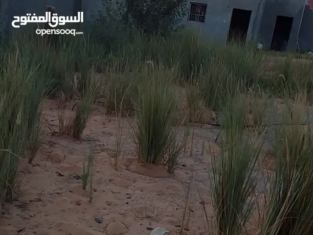 Residential Land for Sale in Tripoli Al-Najila