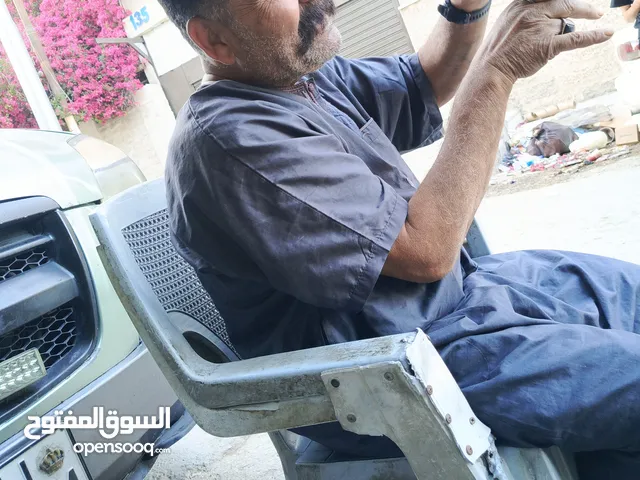 ببغاء  كاسكو افريقي للبيع
