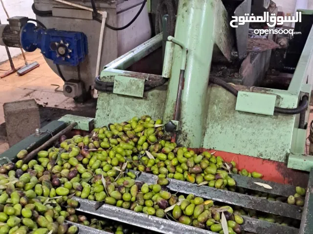 زيت زيتون طبيعي وطازج – من المزرعة للعبوة