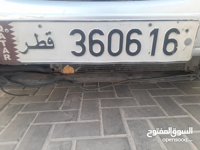 لوحة رقم 360616