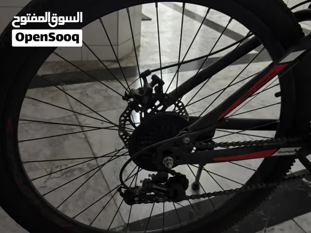 Sport foldable bike
