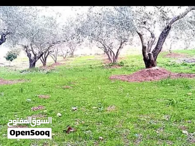 سليم للعقارات