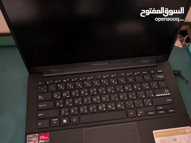 Asus vivobook go 14
