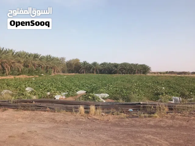 Farm Land for Sale in Al Sharqiya Bidiya