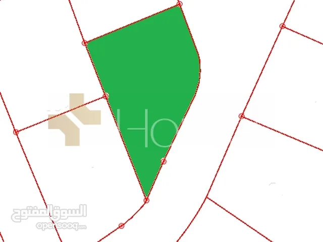 ارض للبيع في ناعور حوض قرية المدعي بمساحة 1067م