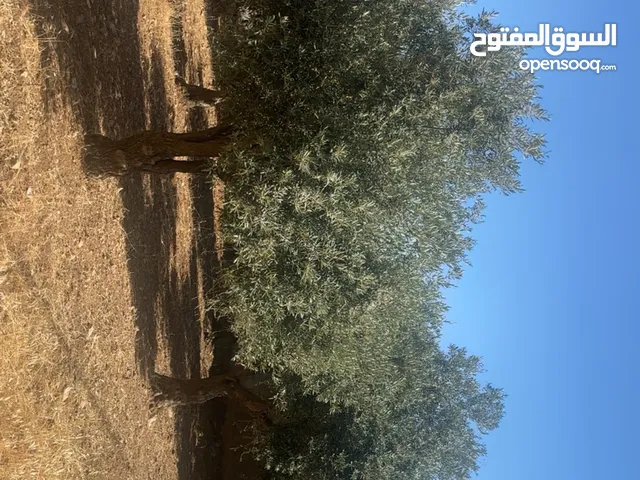 بيت للبيع في منطقة ناعور حسبان