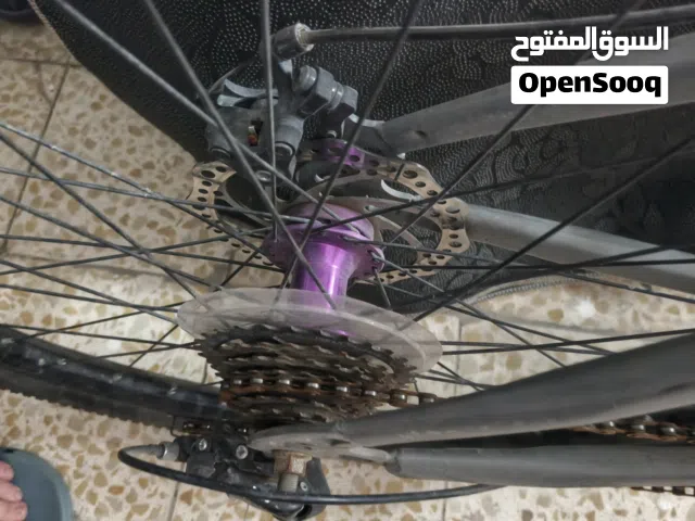 باسكال داسم عقرب الكير مكسور الزنجيل مزنجر