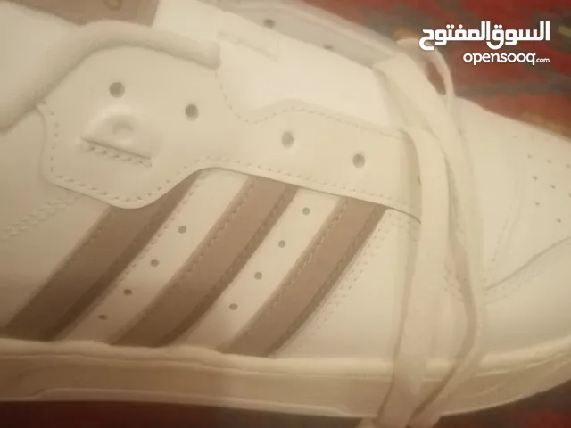 47 Sport Shoes in Cairo