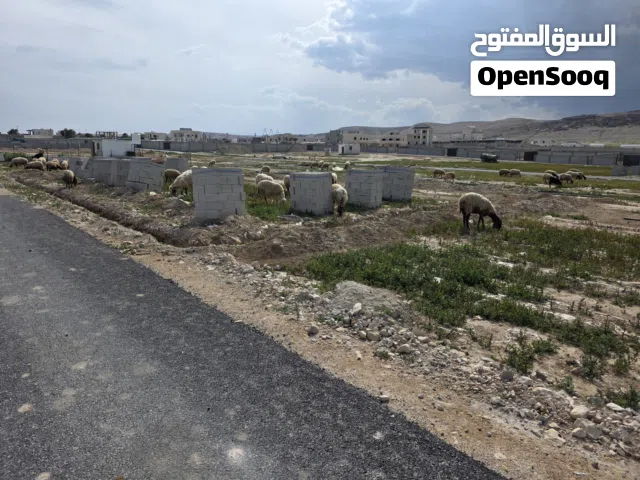 Residential Land for Sale in Jericho Al-Auja