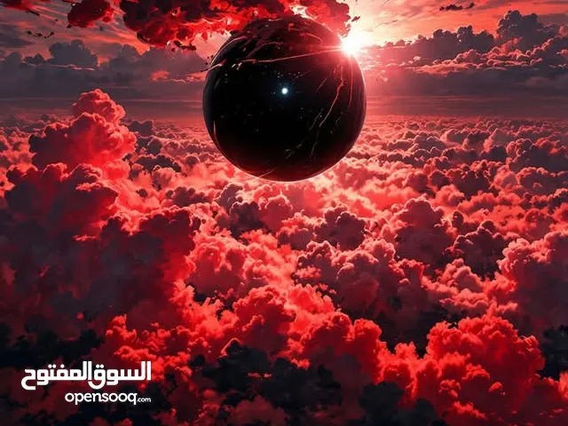 نبي نتبنا قط صغير